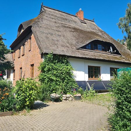 Renovated Apartment In The Old Farmhouse Krusenhagen Екстер'єр фото